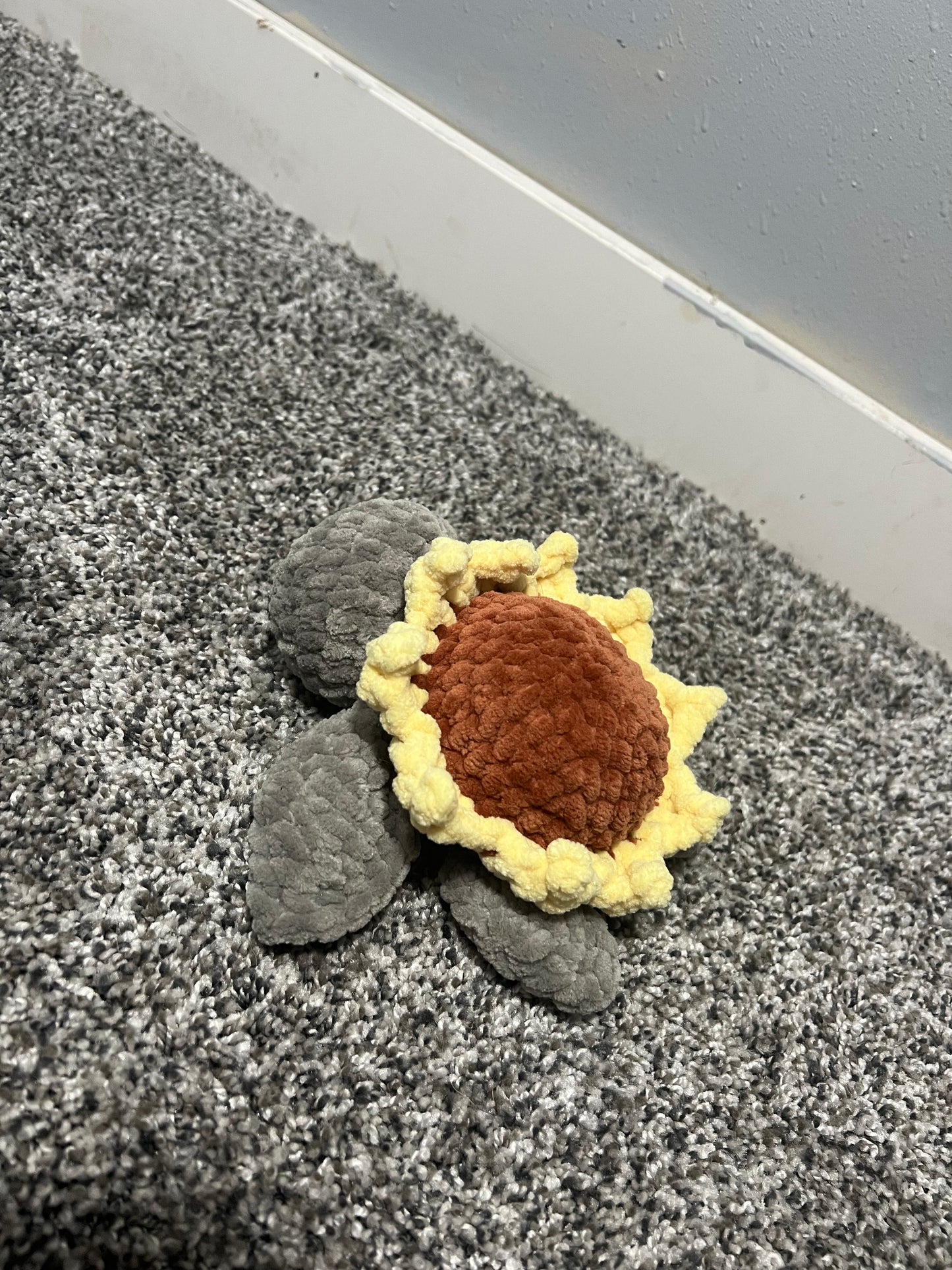 Sunflower Baby Turtle