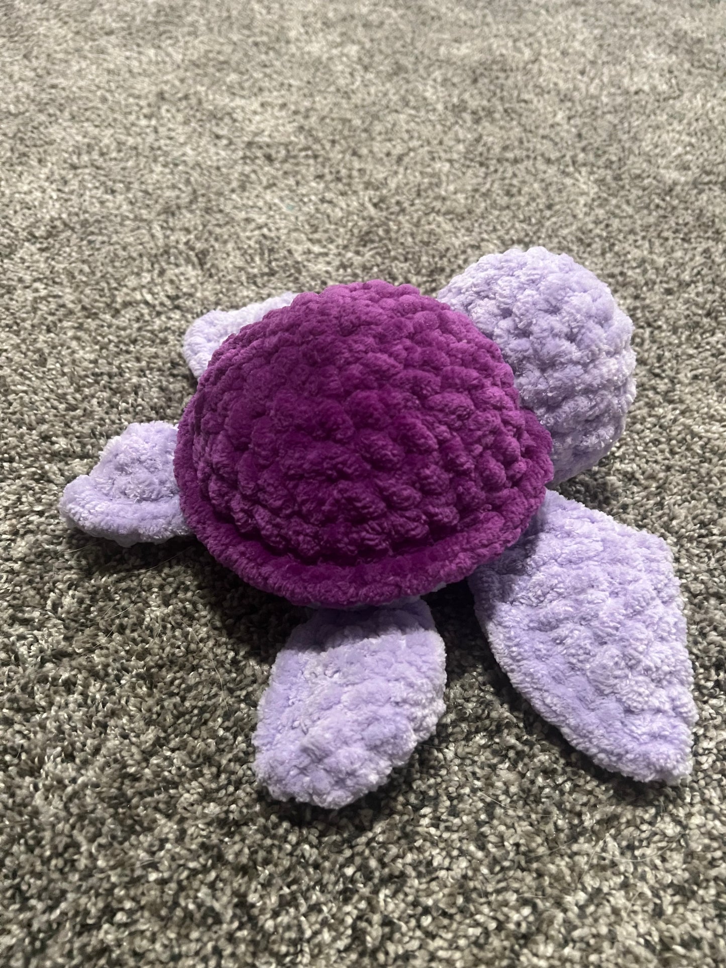 Sea Turtle